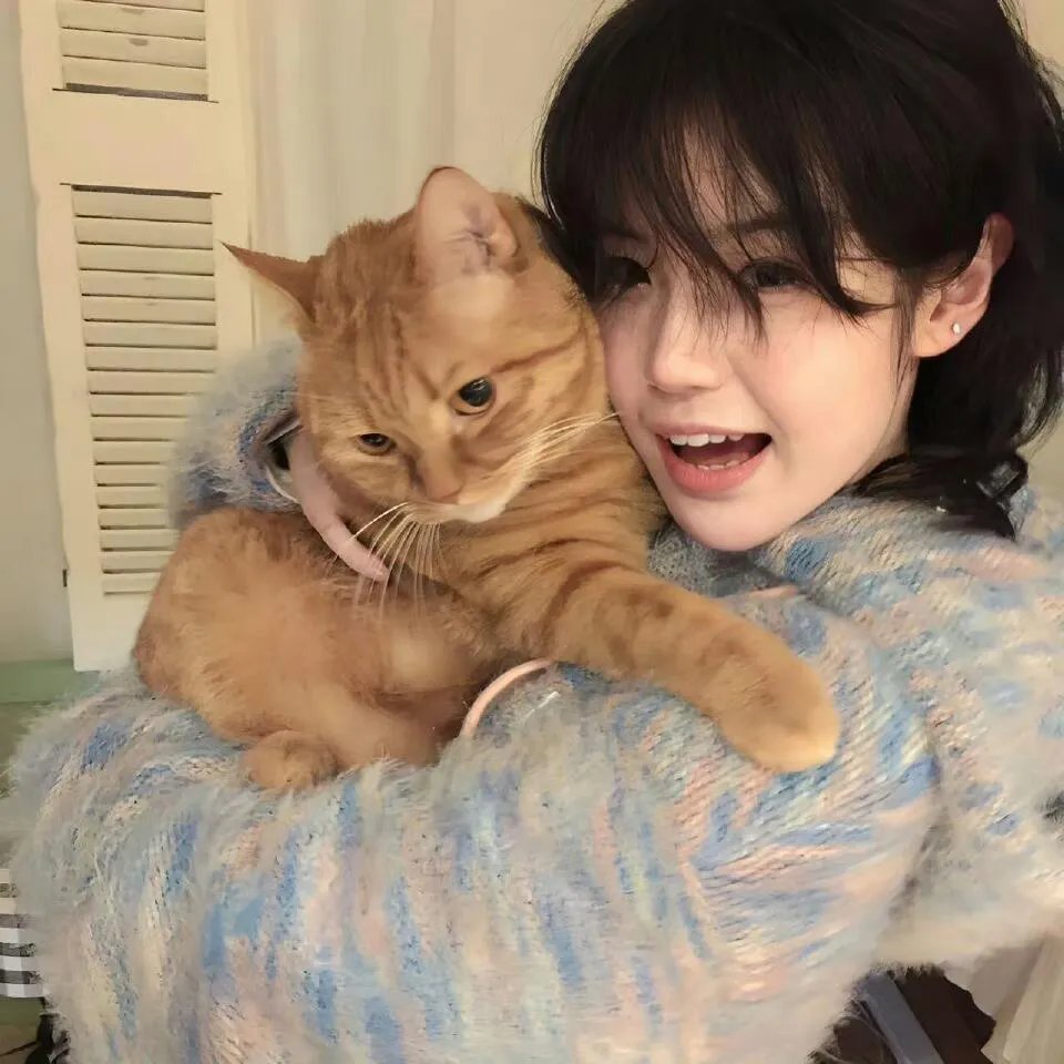 审死猪